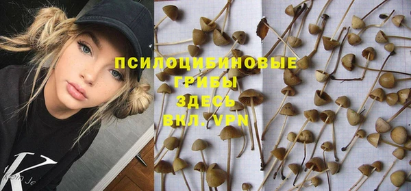 тгк Алексин