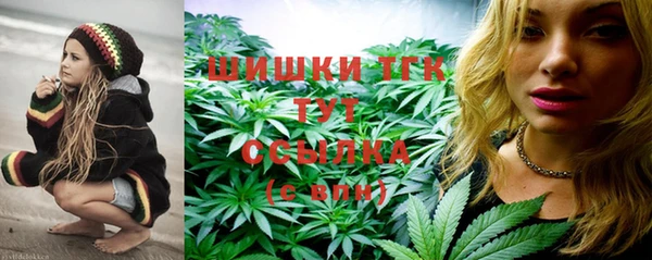 шишки Алзамай