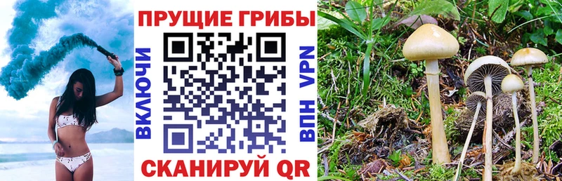 Галлюциногенные грибы мицелий  Купить где  Жигулёвск 